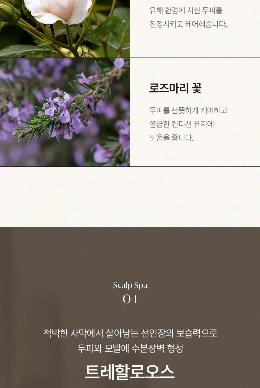 [신규런칭/모발빠짐고민] 이드르르 스칼프스파 샴푸 390ml 상세페이지 58